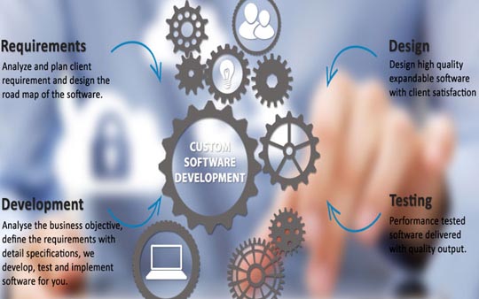 Inspirell_IT_solutions_services-Customised Software Development, Tanzania